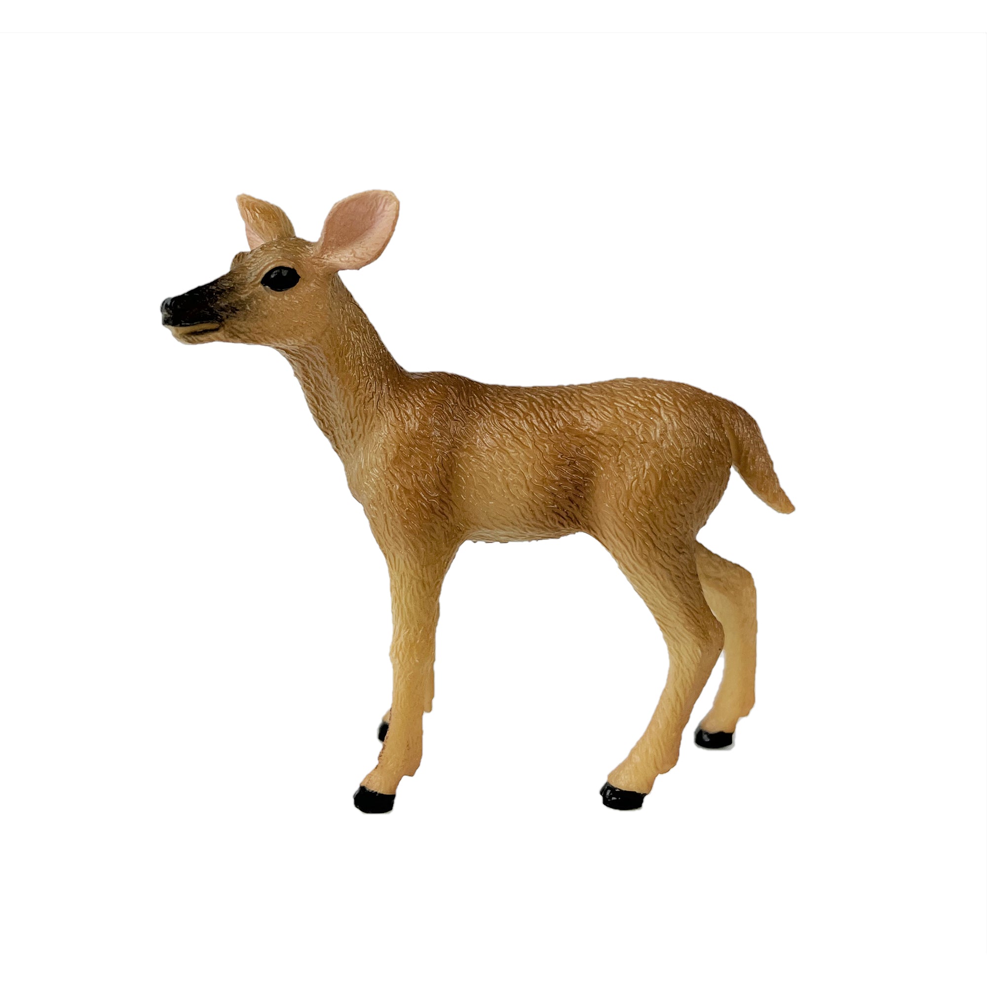 White Tailed Doe