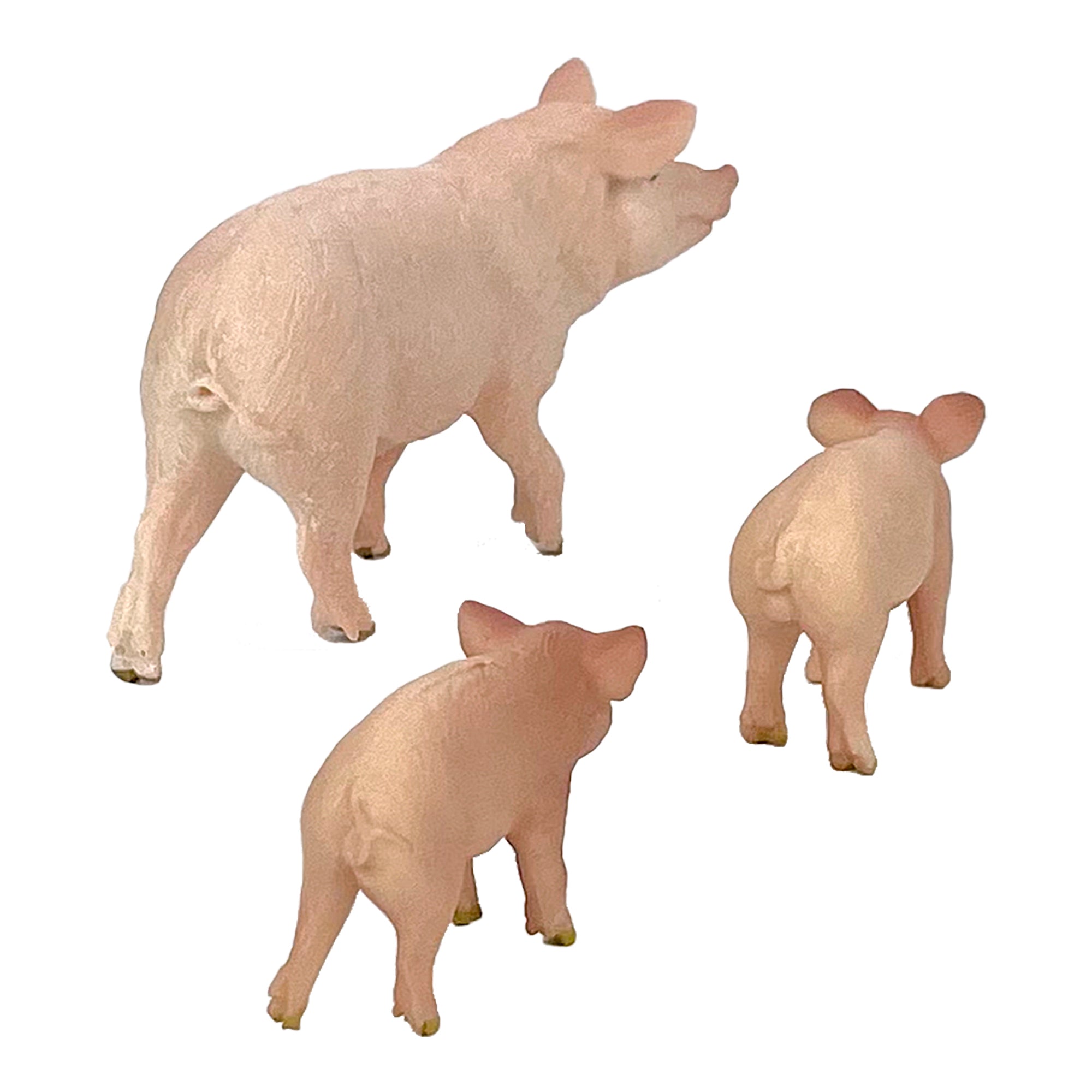 Pig & Piglets